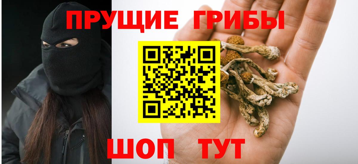 Псилоцибиновые грибы Magic Shrooms  Псилоцибиновые грибы прущие грибы  Братск  Вход с VPN 