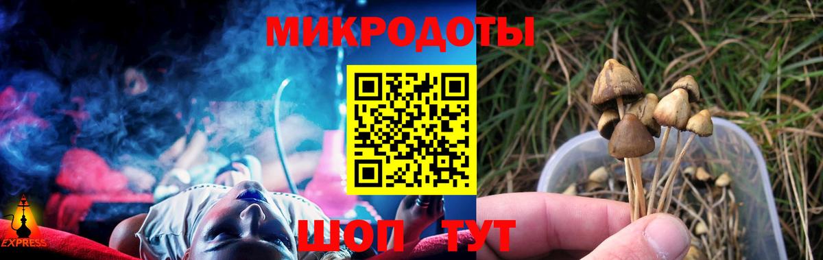 Псилоцибиновые грибы Magic Shrooms Братск